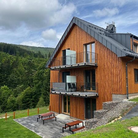 Apartman - Dolni Morava - "Sedmicka" Pro 2 Az 6 Osob Exterior photo