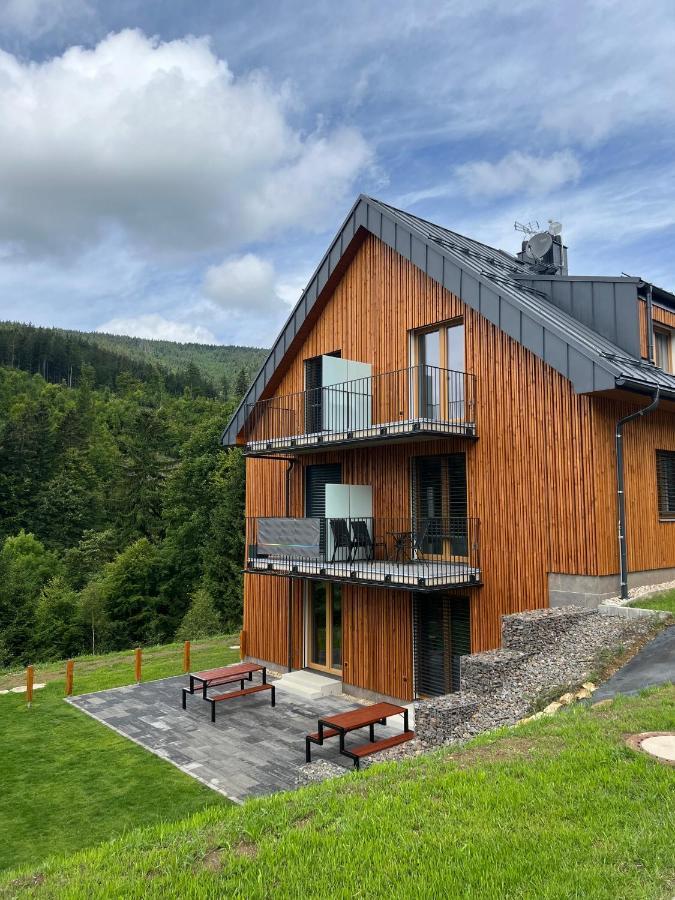 Apartman - Dolni Morava - "Sedmicka" Pro 2 Az 6 Osob Exterior photo